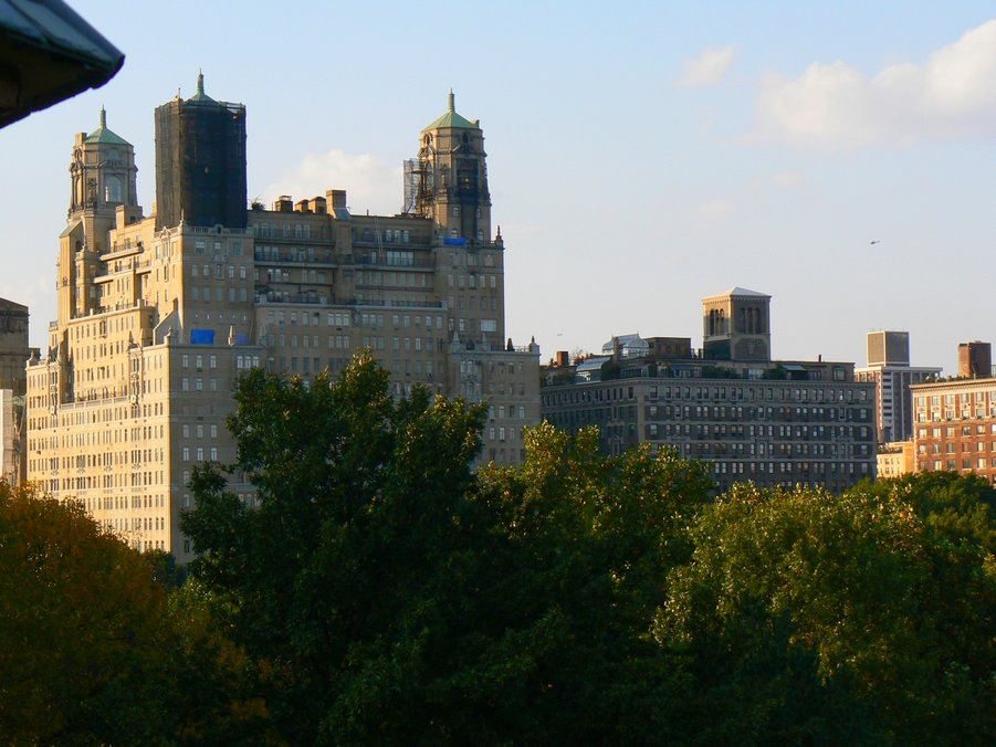 Central Park: Central Park 082